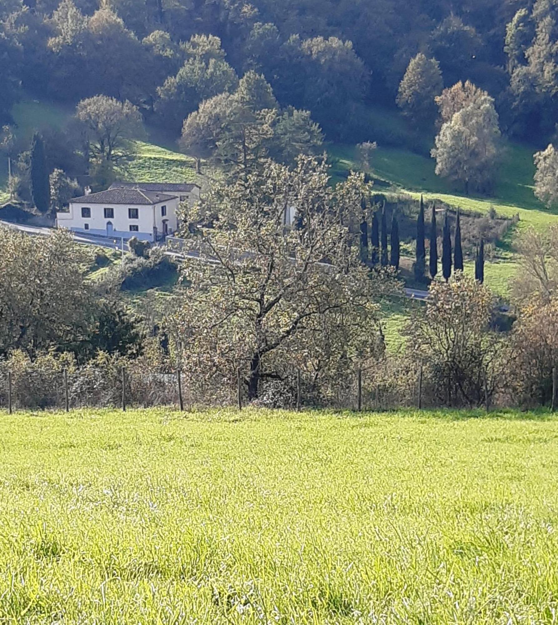 Вилла Casa Al Miglio Pratolino Экстерьер фото